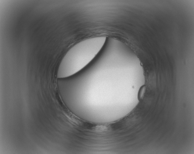 X0000062890418200601131022