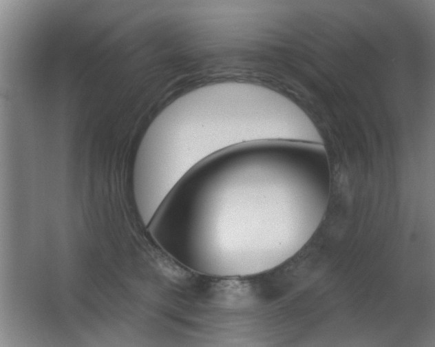 X0000062890421200601131022