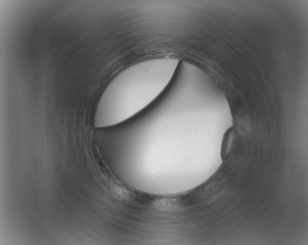 X0000062890422200601131022