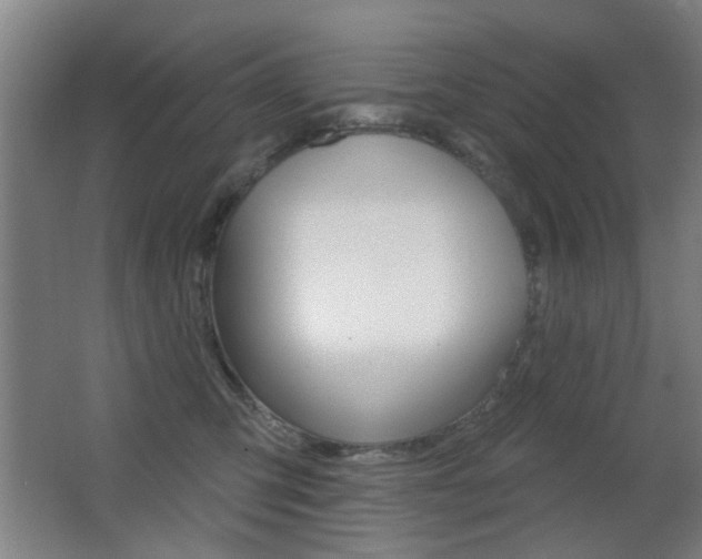 X0000062890423200601131022