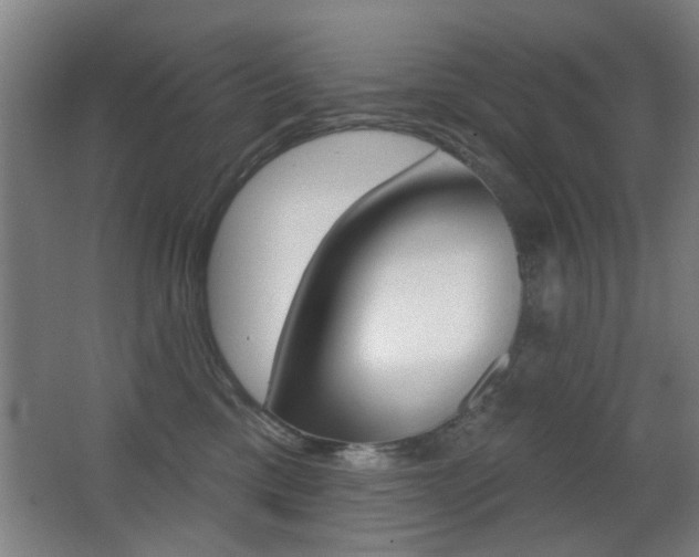 X0000062890425200601131022