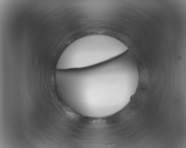 X0000062890426200601131022
