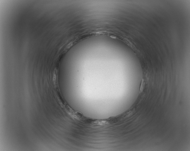 X0000062890427200601131022