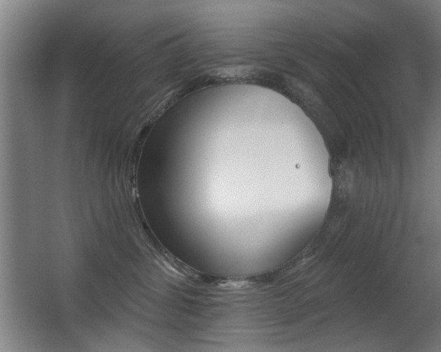 X0000062890428200601131022