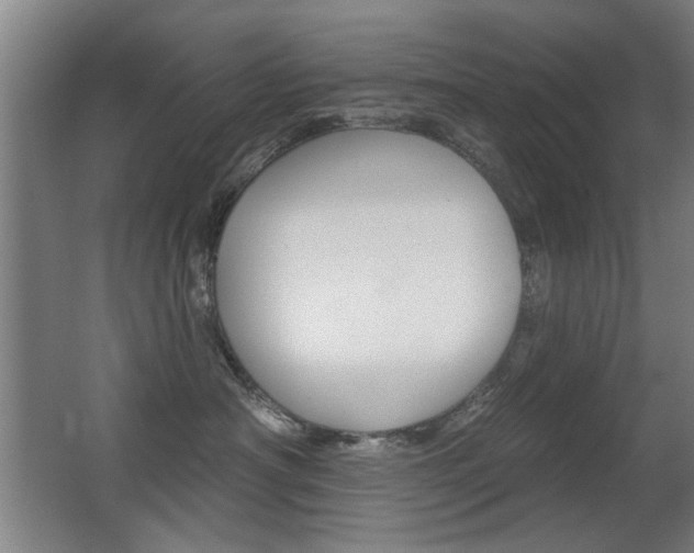 X0000062890430200601131022
