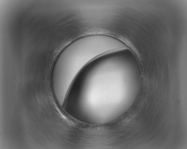 X0000062890433200601131021