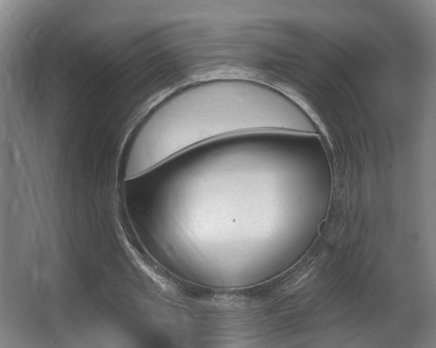 X0000062890437200601131021