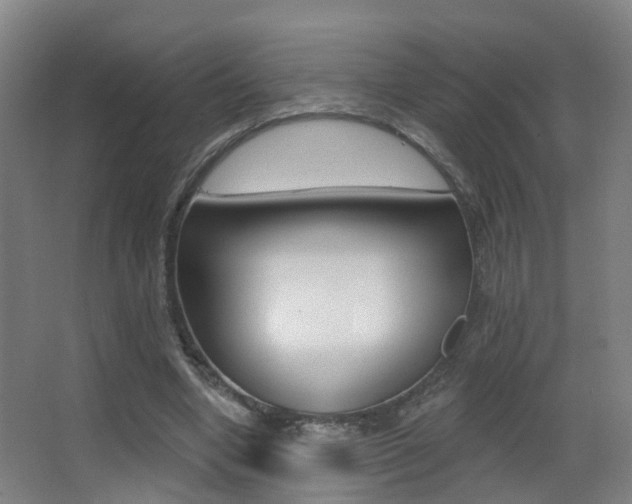 X0000062890442200601131021