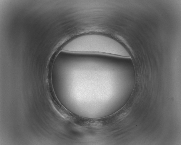 X0000062890443200601131021
