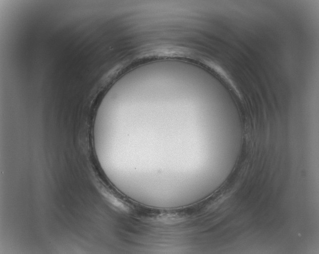 X0000062890445200601131021
