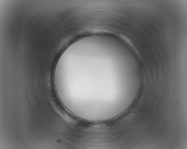 X0000062890447200601131021