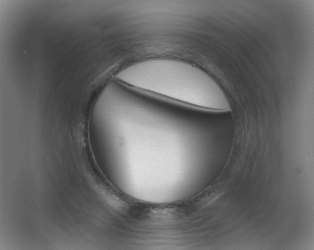 X0000062890450200601131021