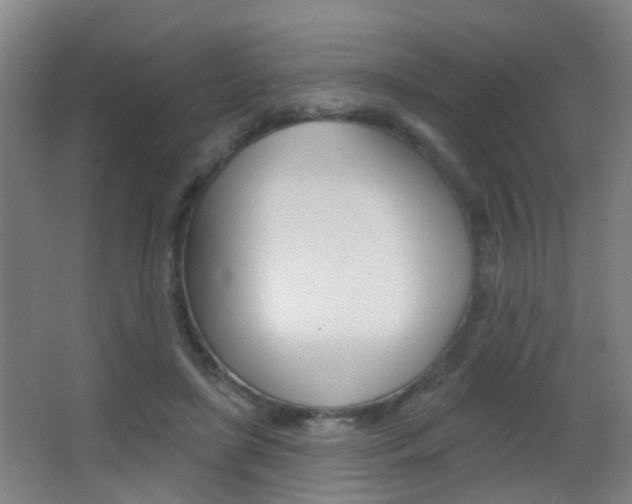 X0000062890451200601131021