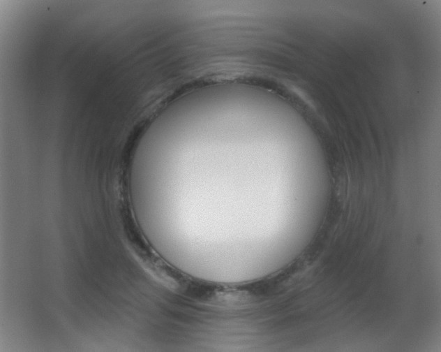 X0000062890455200601131021