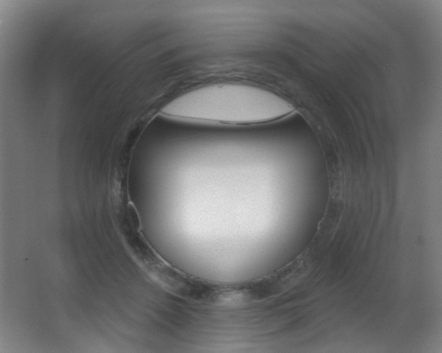 X0000062890456200601131021