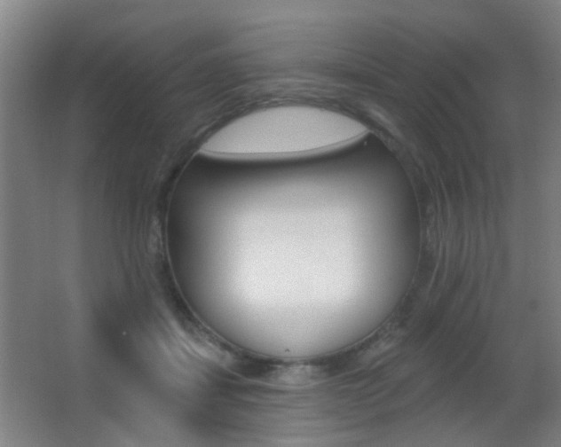 X0000062890459200601131021