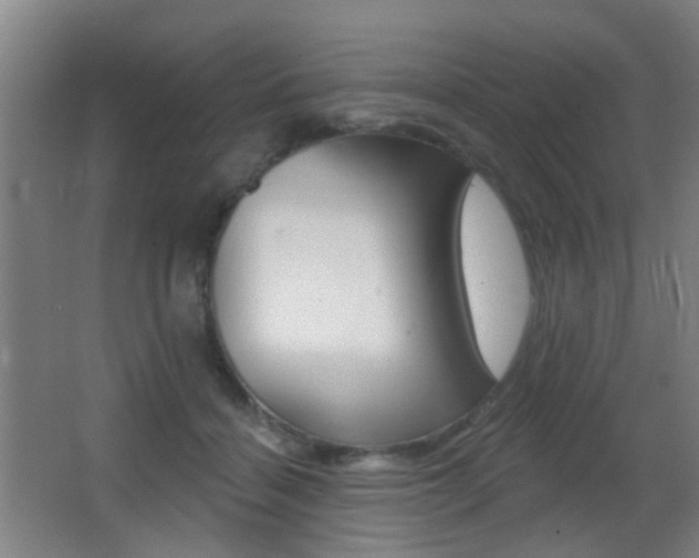 X0000062890460200601131021