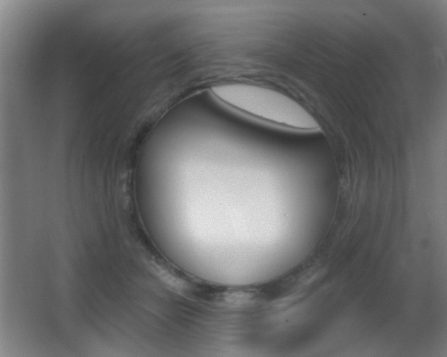 X0000062890462200601131021