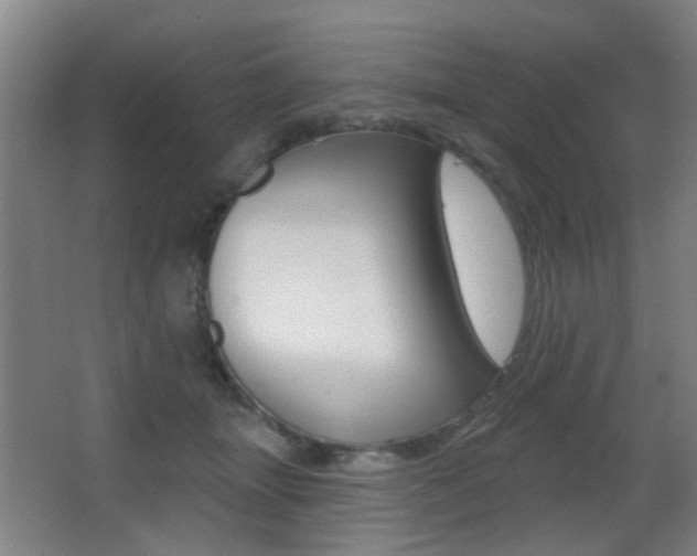 X0000062890463200601131021