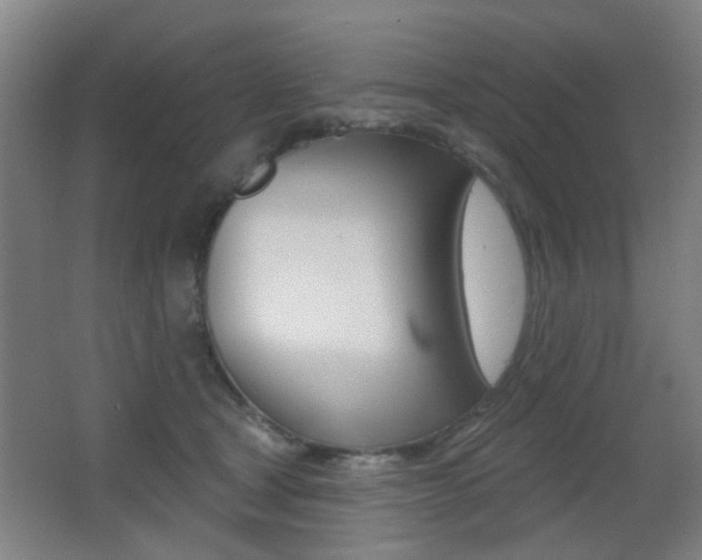 X0000062890465200601131021