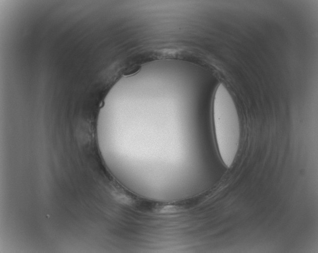 X0000062890467200601131021