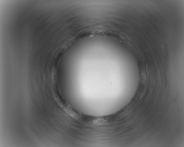 X0000062890468200601131021