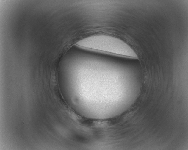 X0000062890469200601131021