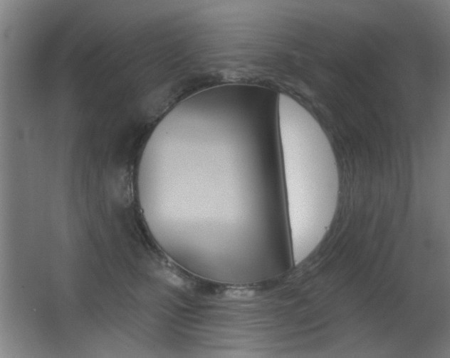 X0000062890471200601131021