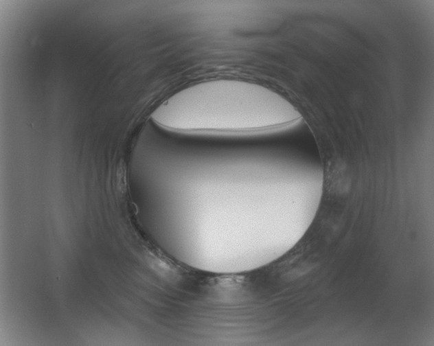 X0000062890474200601131022