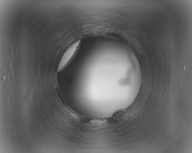 X0000062890480200601131022
