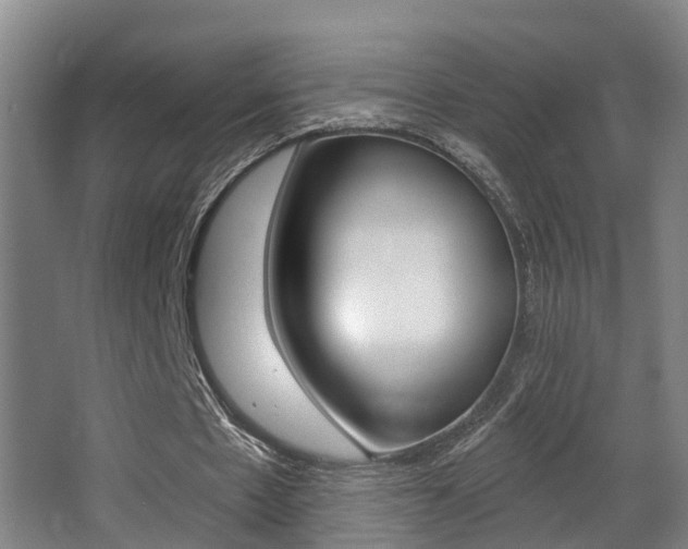 X0000062890481200601131021