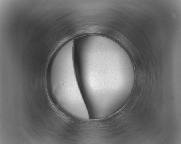 X0000062890482200601131021