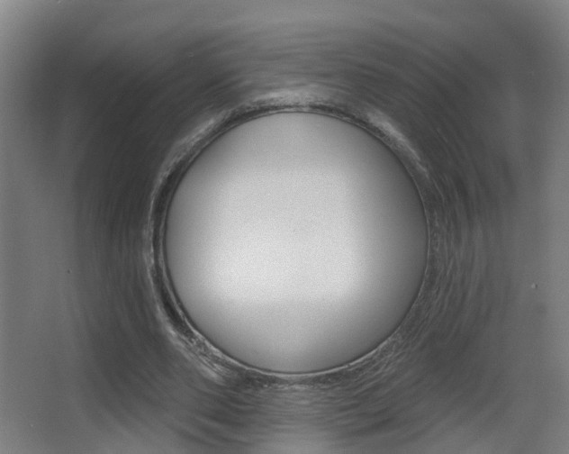 X0000062890486200601131021