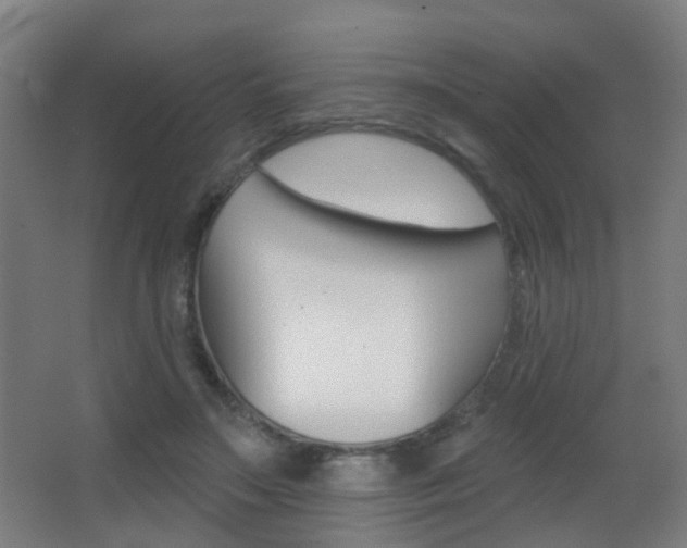 X0000062890499200601131021
