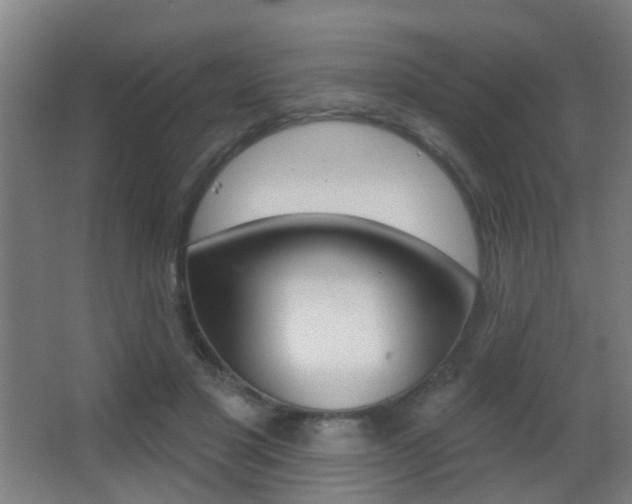 X0000062890501200601131020