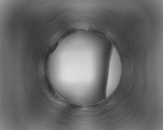 X0000062890504200601131020