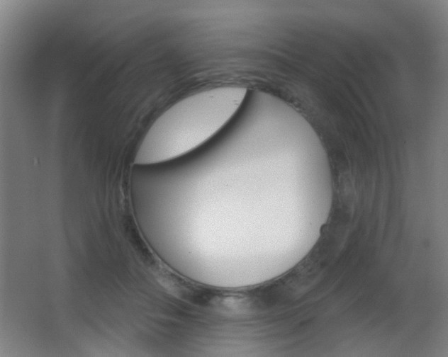 X0000062890506200601131020