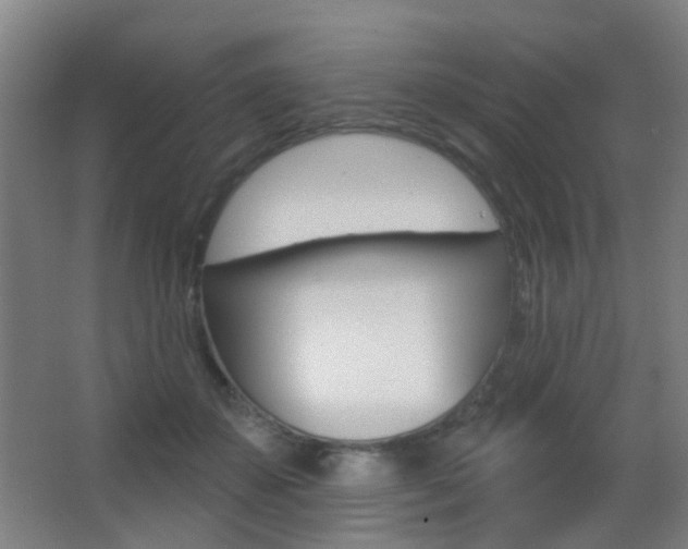 X0000062890507200601131020