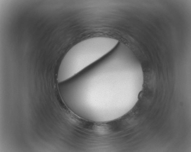 X0000062890510200601131020