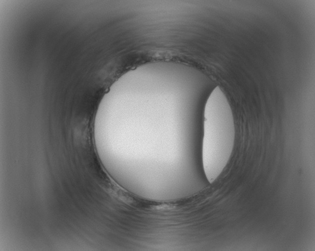 X0000062890511200601131020