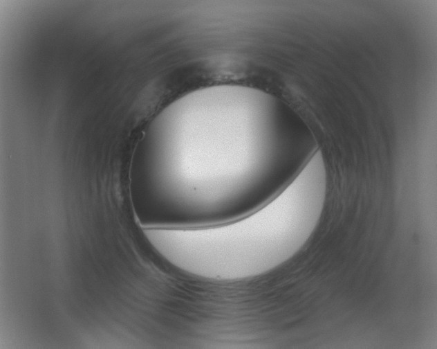 X0000062890512200601131020