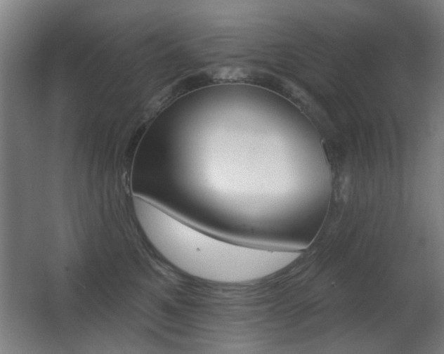 X0000062890521200601131020