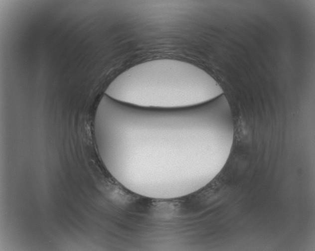 X0000062890522200601131020