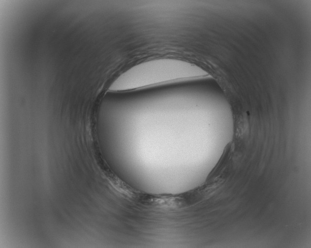 X0000062890524200601131020