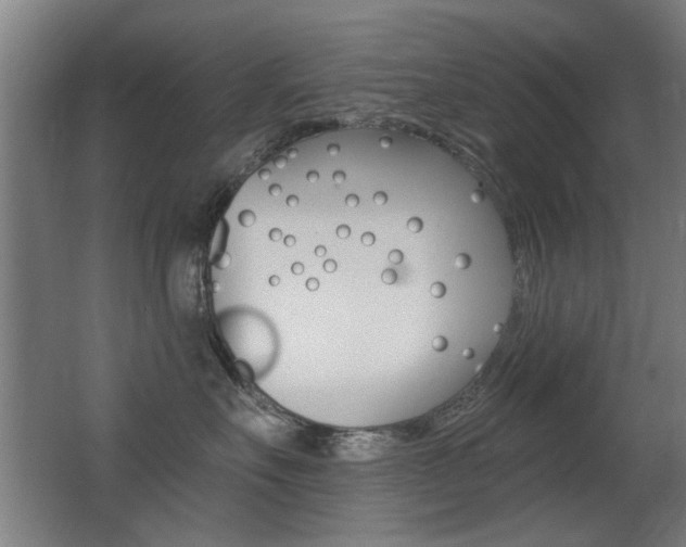 X0000062890527200601131020