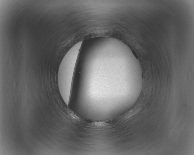 X0000062890528200601131020