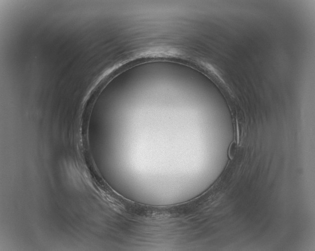 X0000062890531200601131019
