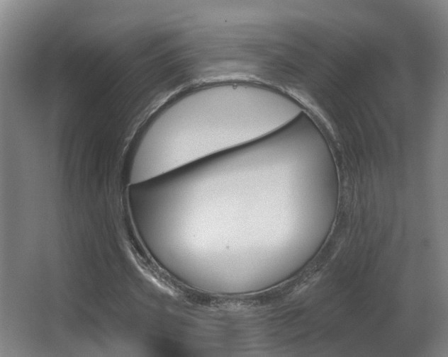 X0000062890533200601131019