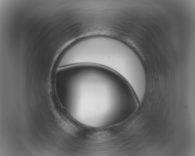 X0000062890536200601131019
