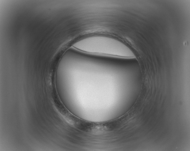 X0000062890543200601131019